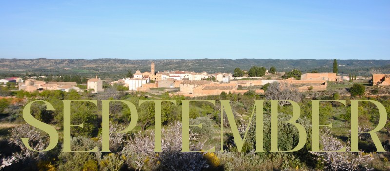 This image for Image Layouts addon